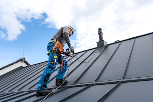 Best Roof Maintenance and Cleaning  in Wallburg, NC